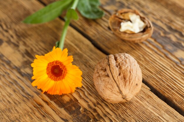 Noci del primo piano e fiore di calendula su fondo di legno. Profondità di campo.