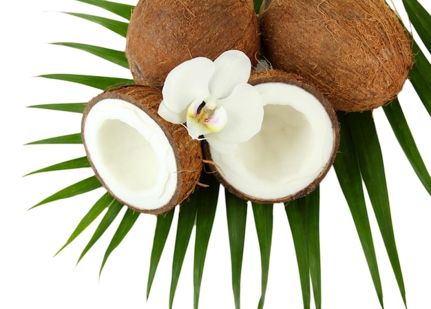 Noci di cocco con foglie e fiori isolati su bianco