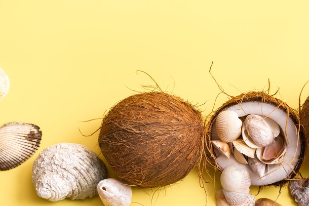 Noci di cocco e conchiglie su sfondo giallo. Tema marino