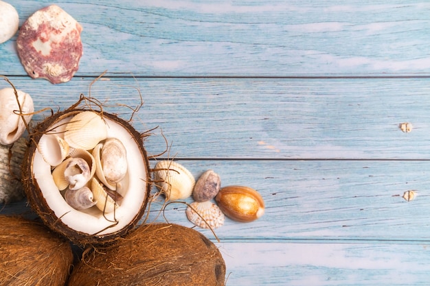 Noci di cocco e conchiglie su un tema marino di fondo in legno blu