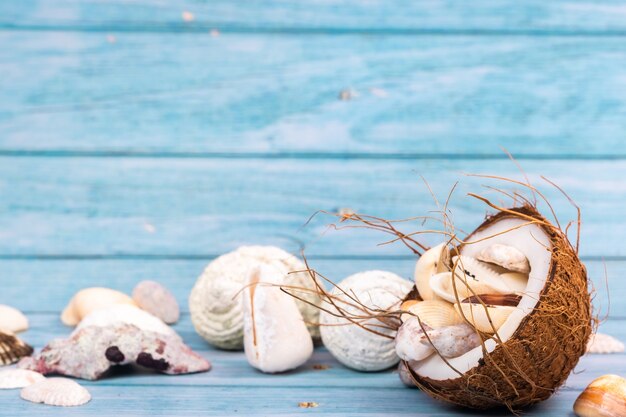 Noci di cocco e conchiglie su un tema marino di fondo in legno blu