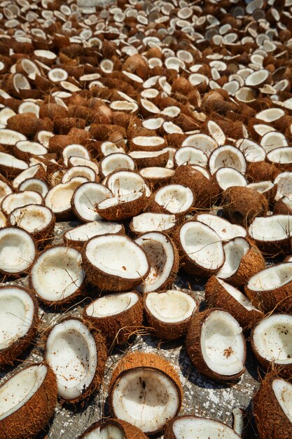 Noci di cocco essiccate, Kerala, India del sud