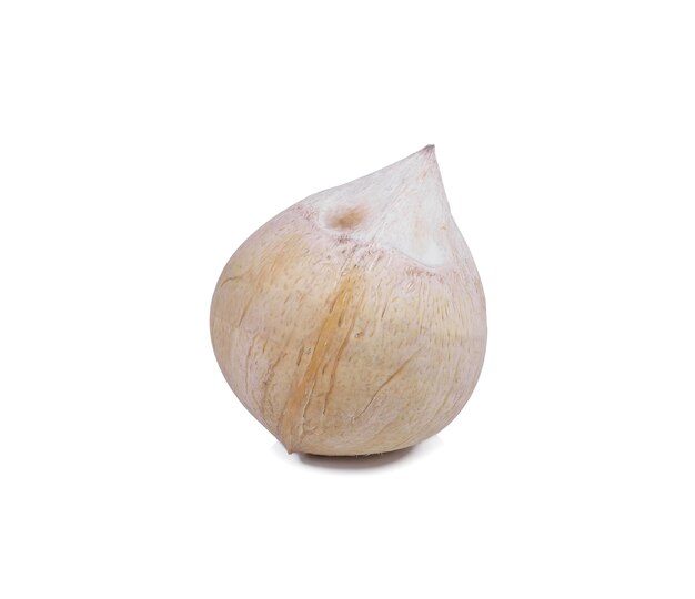 Noci di cocco isolate su sfondo bianco