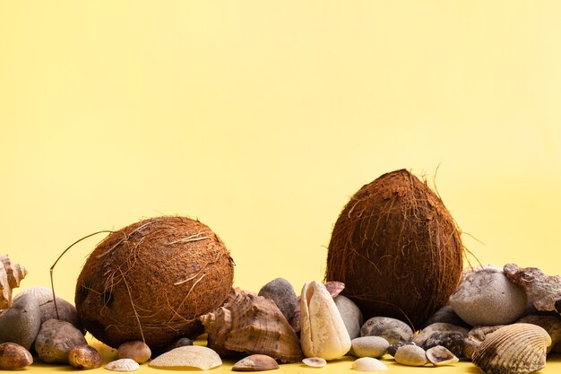 Noci di cocco, rocce e conchiglie su sfondo giallo. Tema marino.