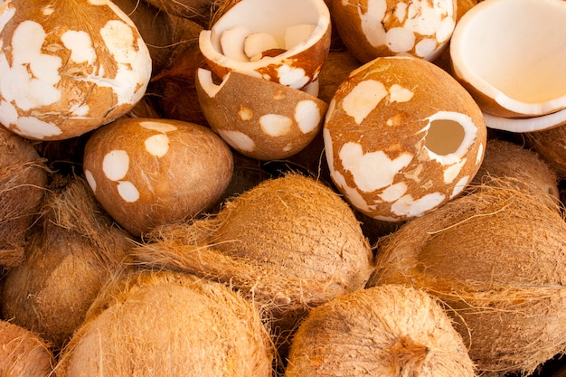 noci di cocco