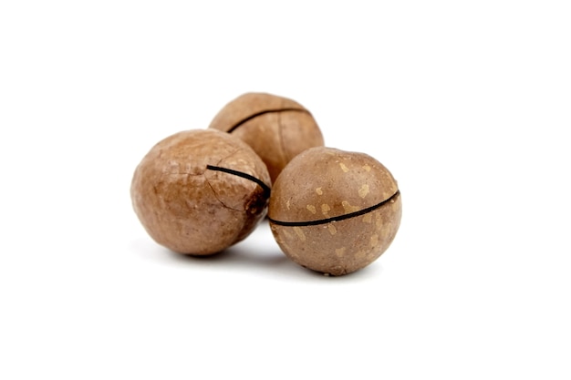 Noci di macadamia arrostite in guscio isolato