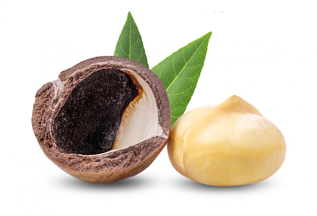 Noci di macadamia con le foglie sulla parete bianca.