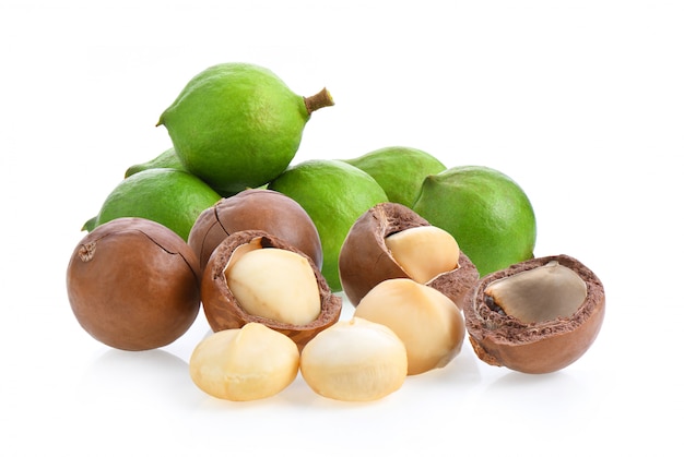 Noci di macadamia isolate su spazio bianco.