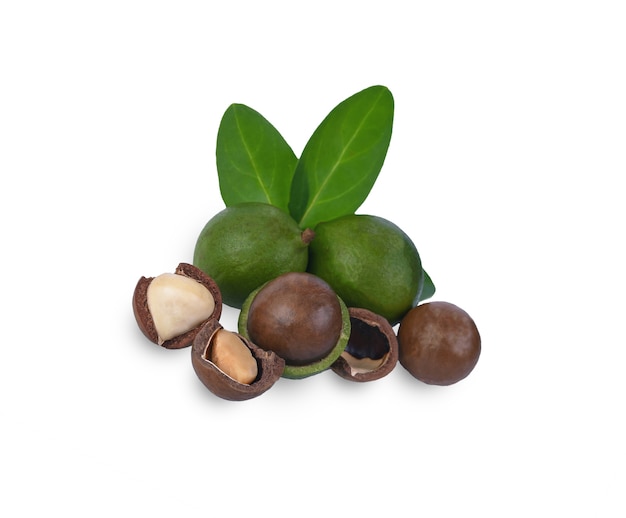 Noci di macadamia sgusciate con foglie isolate