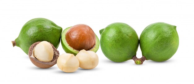 Noci di macadamia su bianco