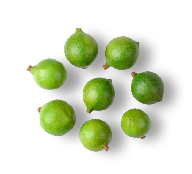 Noci di macadamia