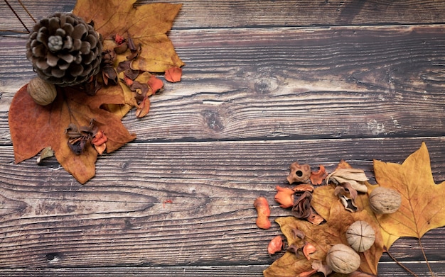 Noci foglie secche legno, concetto autunnale