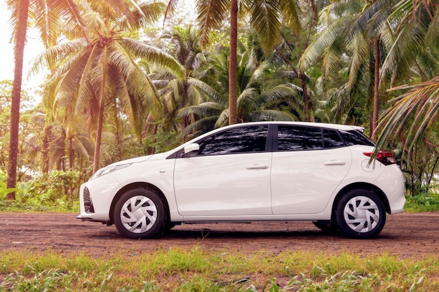 Noleggio auto bianca in vacanza su un'isola tra palme viaggio in auto