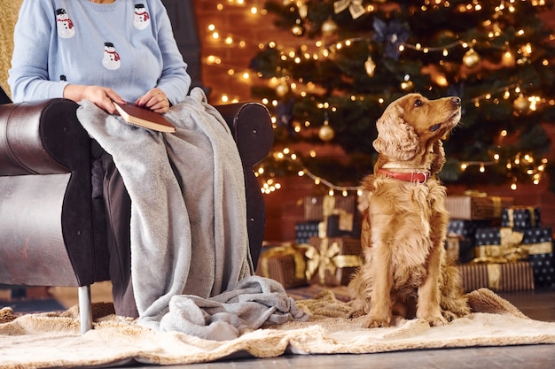 Nonna con libro in mano al chiuso con cane nella stanza decorata di natale.