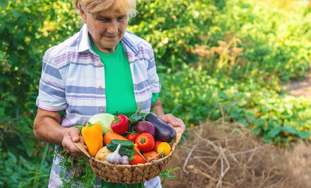 Nonna in giardino con un raccolto di verdure. Messa a fuoco selettiva.