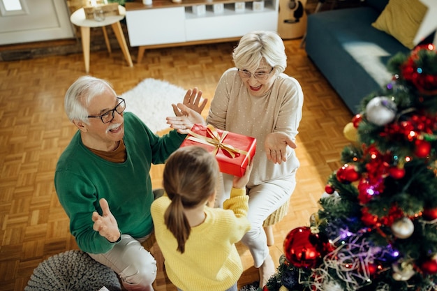 Nonni allegri che ricevono un regalo da una nipote a Natale a casa