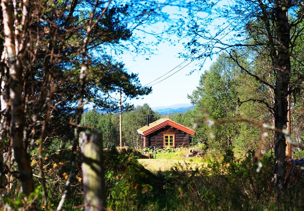Norvegia fattoria lontana nel bosco sfondo hd