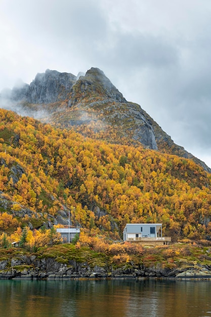 Norvegia Lofoten casa gialla remota sulla costa rocciosa stock foto