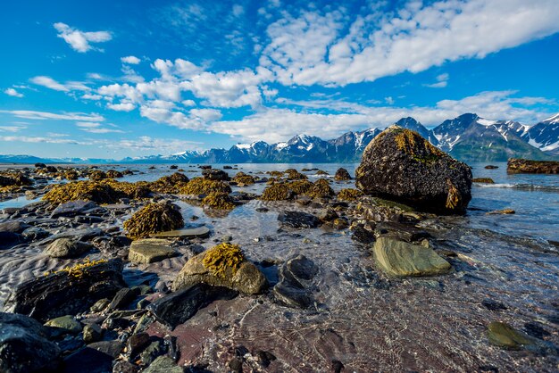 Norvegia Pietre sulla costa del Mare di Norvegia