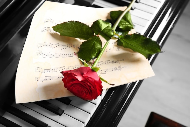 Note musicali e rosa rossa sui tasti del pianoforte si chiudono