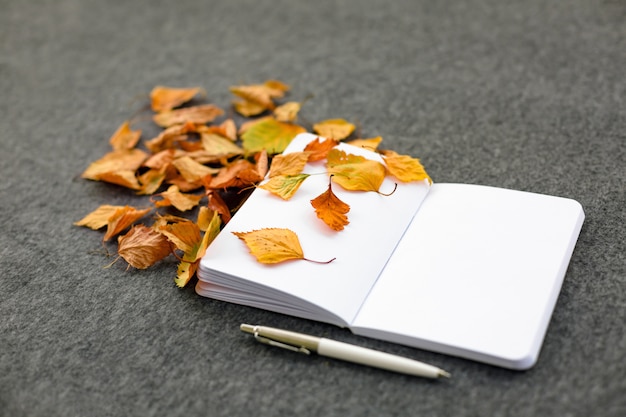 Notebook con foglie d&#39;autunno