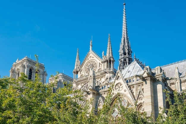 Notre Dame de Paris famosa cattedrale con cielo blu prima del fuoco 15 aprile 2019 Parigi Francia