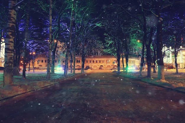 notte città inverno / paesaggio a gennaio luci della città decorate per le vacanze, alberi in un parco cittadino, paesaggio invernale