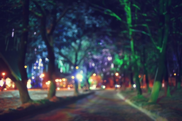 notte città inverno / paesaggio a gennaio luci della città decorate per le vacanze, alberi in un parco cittadino, paesaggio invernale