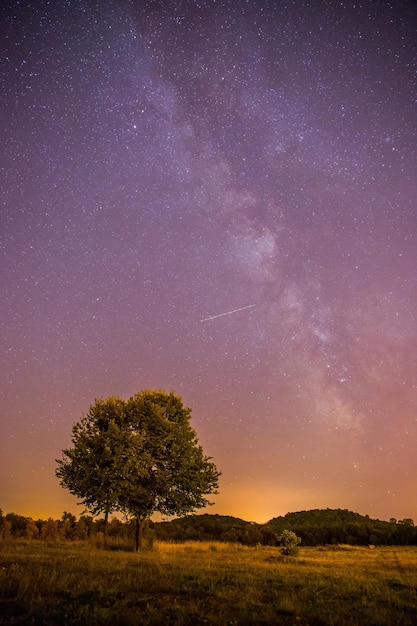 Notte e stelle Paesaggio Chiaro Via Lattea di notte campo solitario e albero