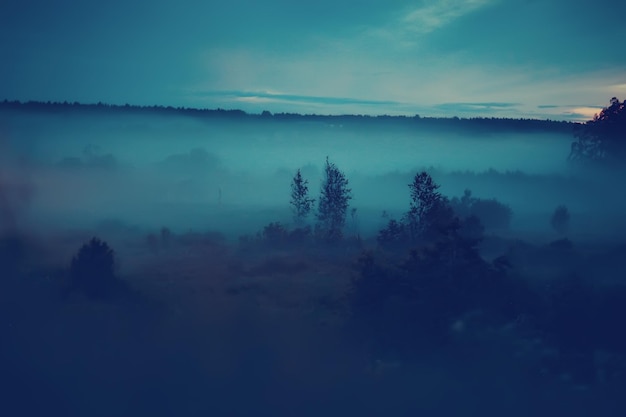 notte nebbia paesaggio natura / natura nebbia autunnale blu paesaggio di una vita notturna