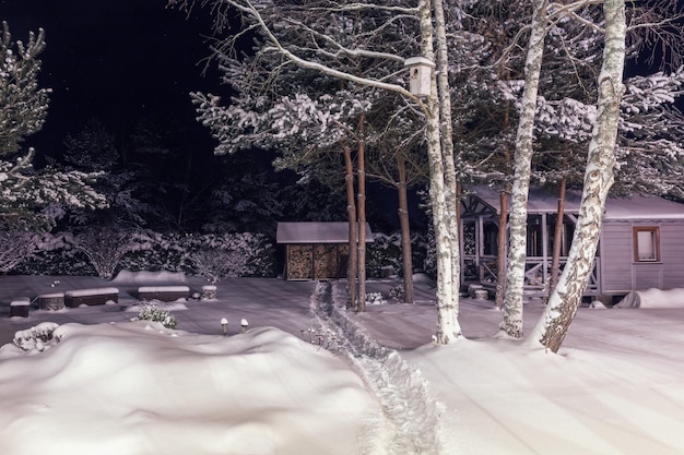 Notte nel giardino d'inverno Cortile d'inverno coperto di neve