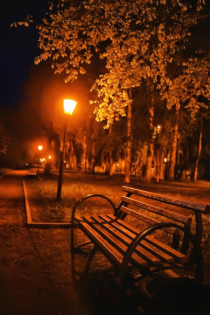 notte nel paesaggio del parco, vista astratta del vicolo, alberi e luci in autunno sfondo sfocato