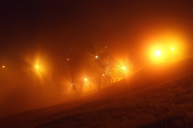 notte nel paesaggio del parco, vista astratta del vicolo, alberi e luci in autunno sfondo sfocato