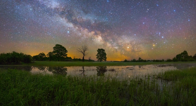 Notte stellata nel parco nazionale Prypiacki, Bielorussia