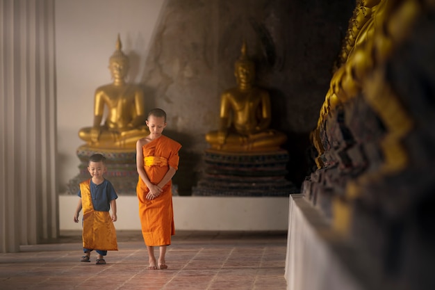 Novizi e assistenti camminano pacificamente in un tempio con molte immagini dorate del Buddha.