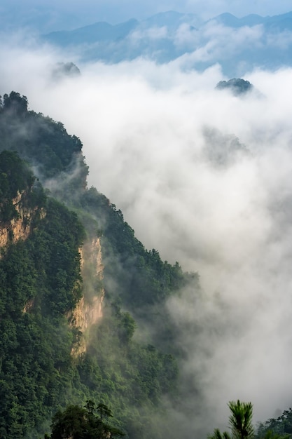 Nubi basse che inghiottono i pilastri di pietra dei monti Tianzi a Zhangjiajie