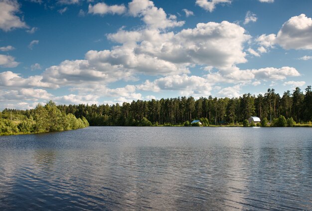 Nubi della foresta del lago