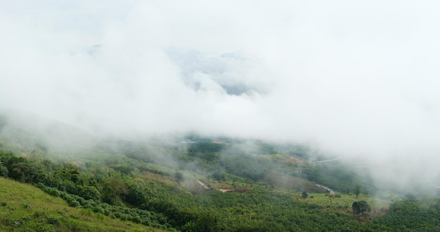 Nubi di nebbia mattutina sulla montagna