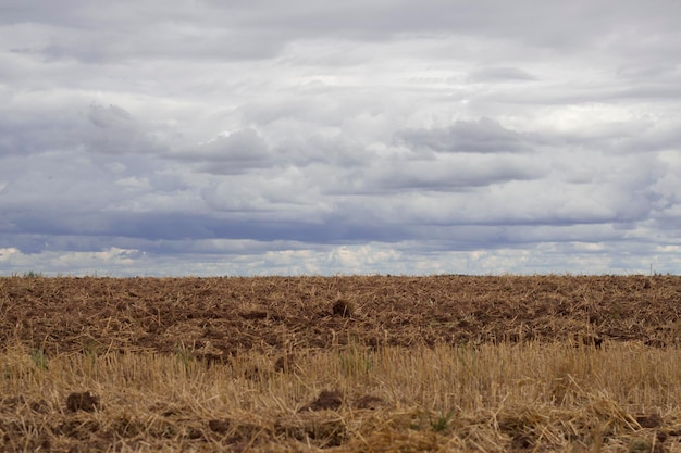 Nubi sopra il campo di campagna vuoto