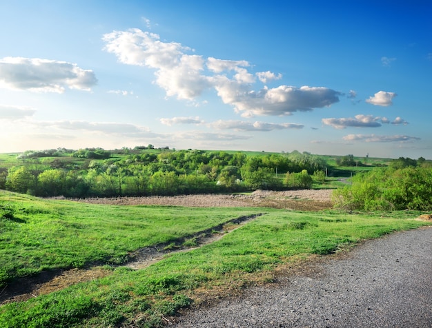 Nubi sopra la foresta e la strada verdi