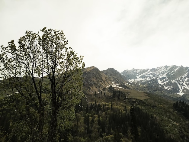 Nubi sopra le montagne con alberi