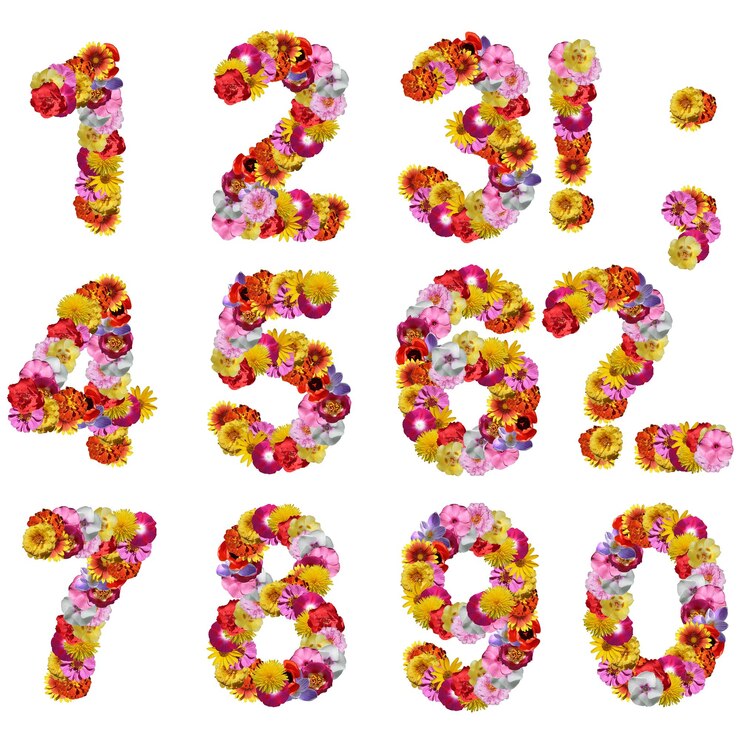 Numeri di fiori isolati su sfondo bianco