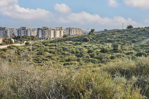 Nuova area urbana e costruzione di nuove abitazioni accanto al parco cittadino