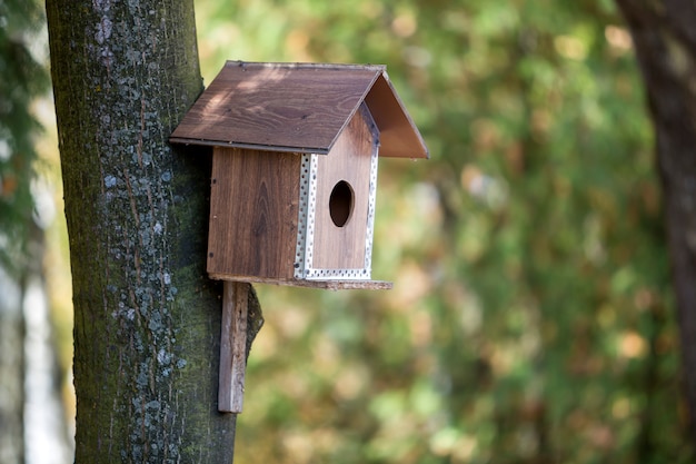 Nuova casa marrone di legno dell'uccello o nido per deporre le uova attaccato al tronco di albero nel parco o nella foresta di estate sul bokeh verde soleggiato vago del fogliame.