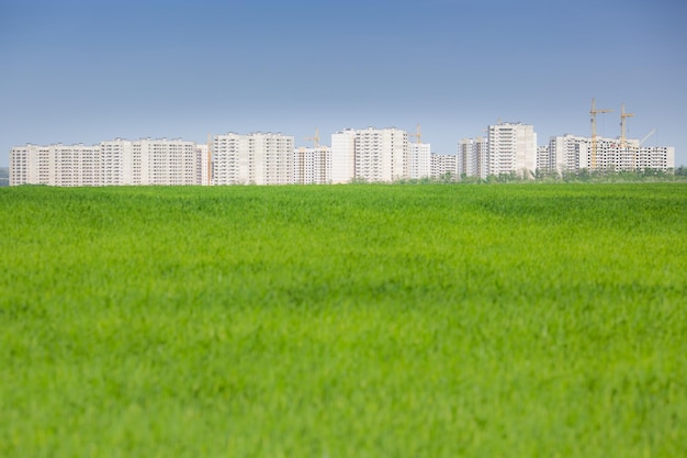 Nuova città contro campo verde e cielo blu