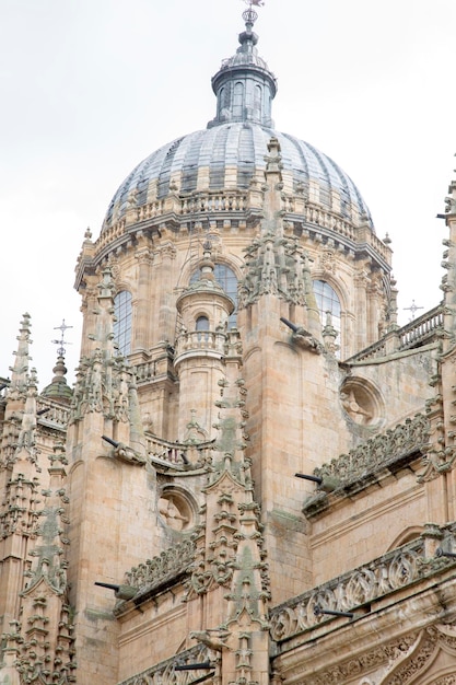 Nuova Torre della Cattedrale di Salamanca, Spagna