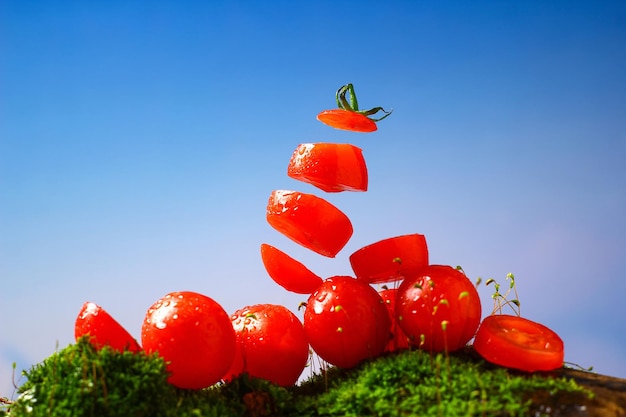 Nuove immagini di pomodori ciliegio pomodori piccoli pomodori freschi