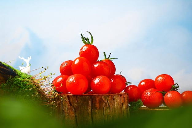 Nuove immagini di pomodori ciliegio pomodori piccoli pomodori freschi