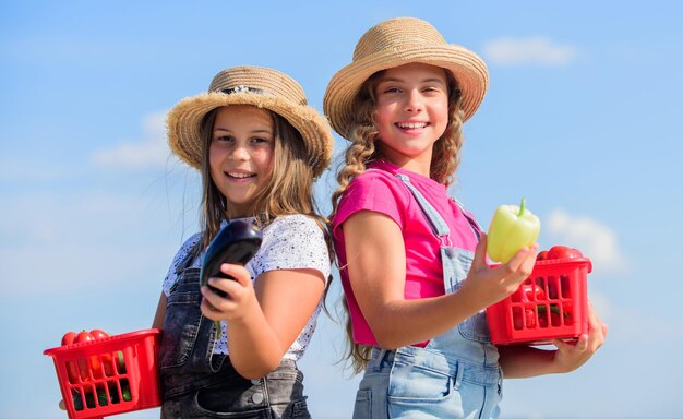 Nutrizione vitaminica naturale Verdure biologiche Ragazze carine bambini con cappelli che coltivano Bambini che raccolgono verdure Vendono cibo nostrano Mercato delle verdure Sorelle felici lavorano nella fattoria di famiglia