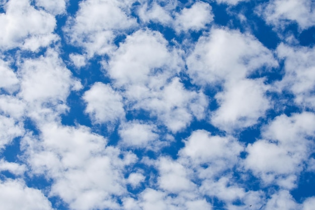 Nuvole bianche con cielo blu Nuvole bianche alla deriva in un cielo blu brillante